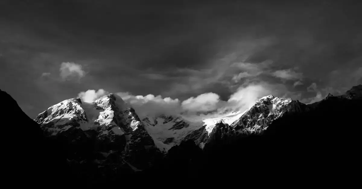 Adobe cloud fotografie