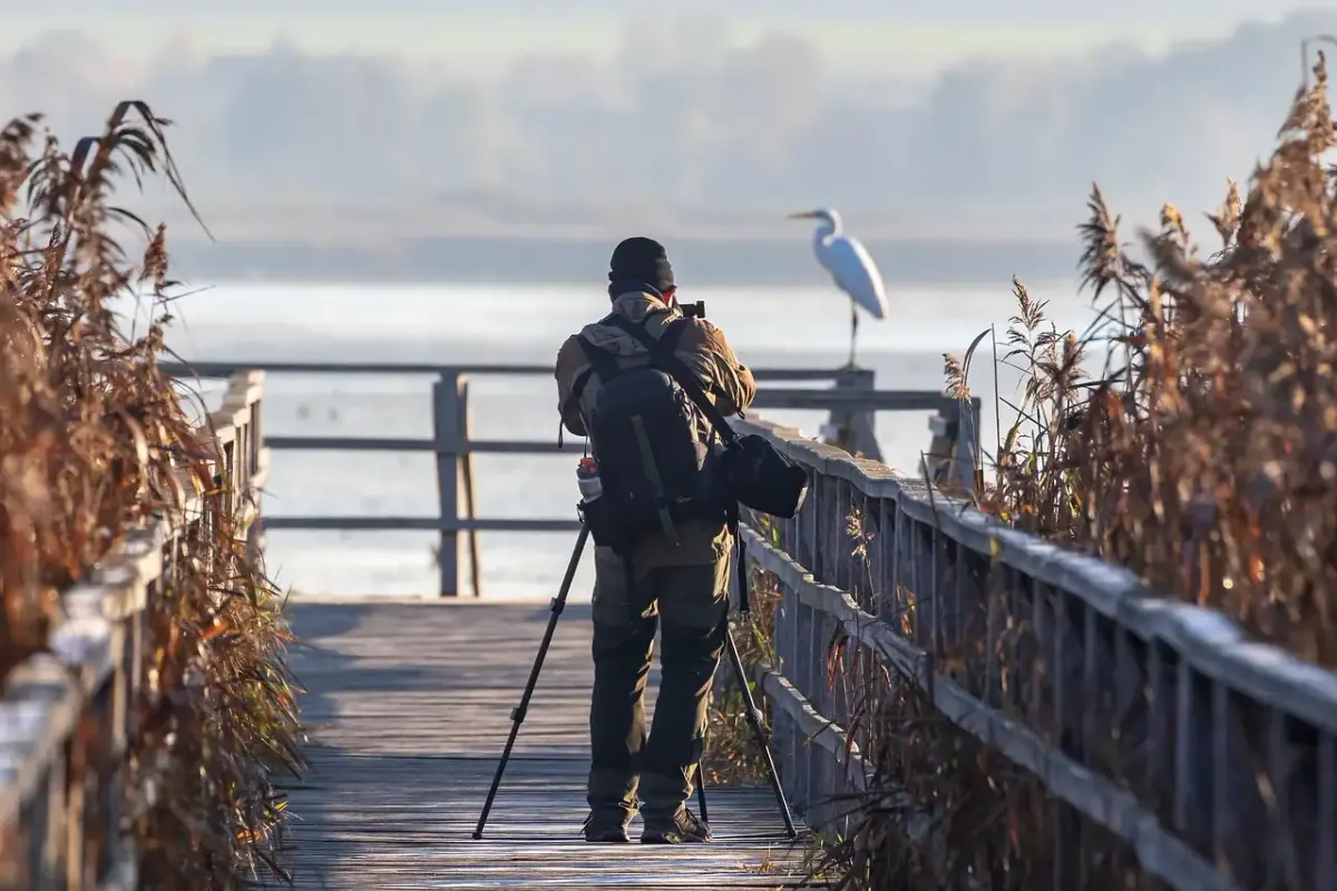 Monitor für fotografie