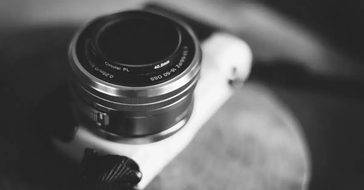 Filter für schwarz weiß fotografie