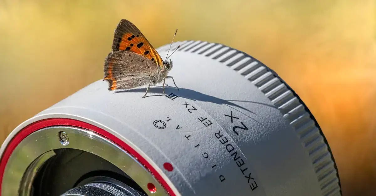 Wildlife fotografie kamera