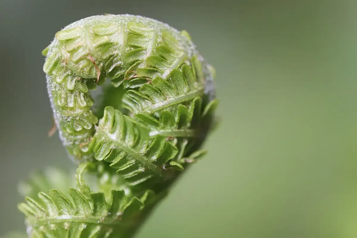 Drehscheibe Fotografie: Tipps, Technik und Inspiration