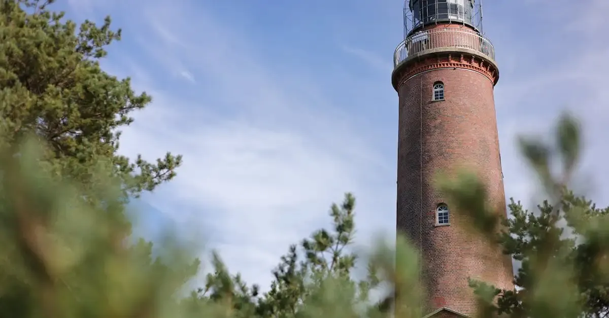 Fischland Darß Zingst Fotografie: Tipps und Motive