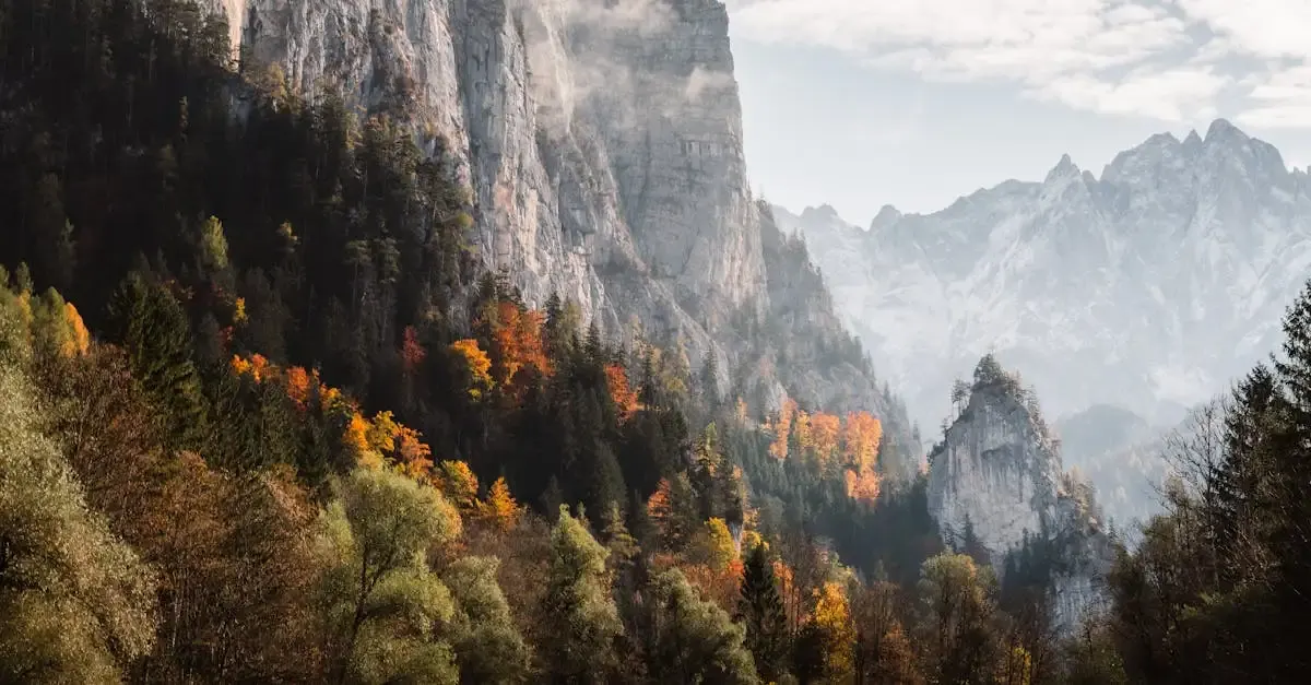 Fotografie hintergrund leinwand