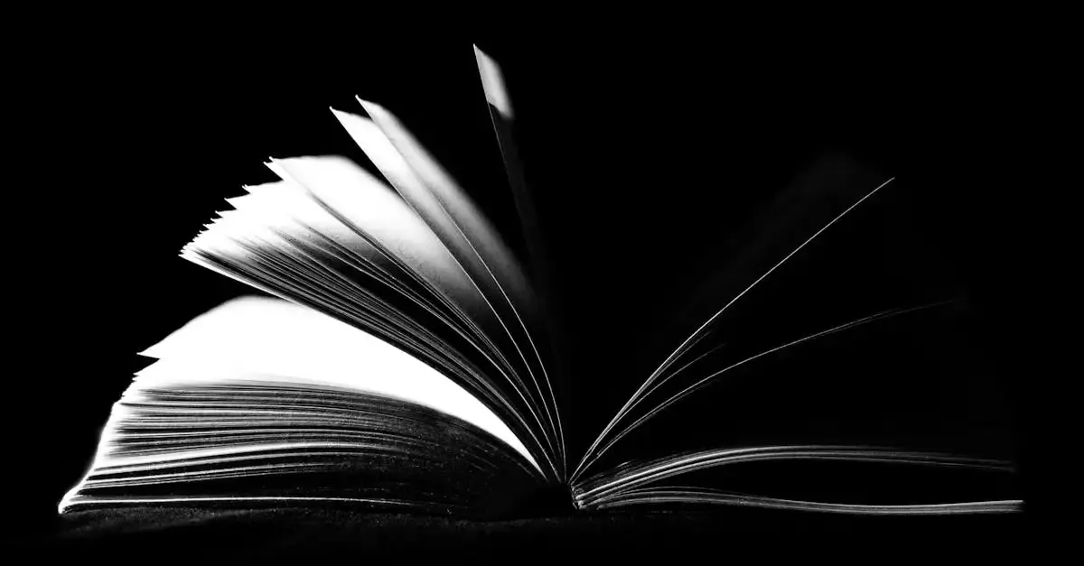 Fotografie lernen buch