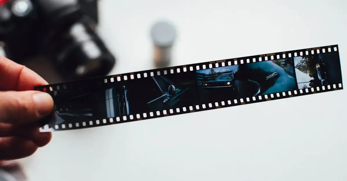 Sprüche fotografie erinnerung