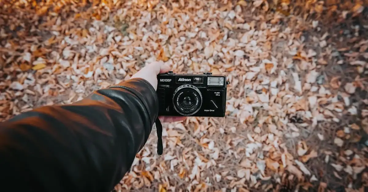 Herbst fotografie