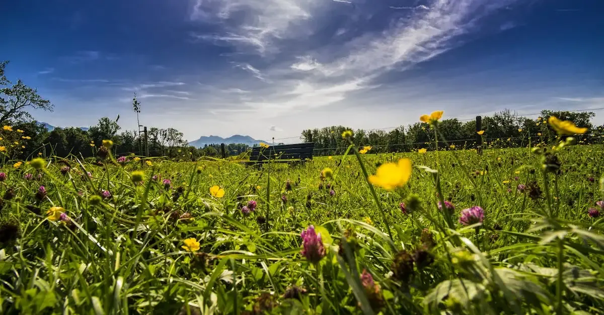 Fotografie allgäu