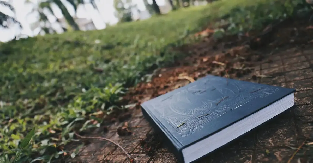 Fotografie lernen buch