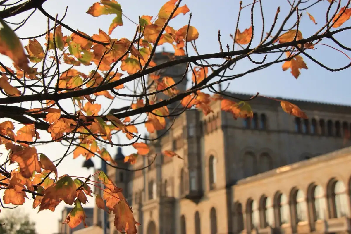 Fotografie studium hannover