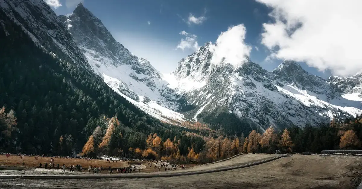 Herzblick fotografie