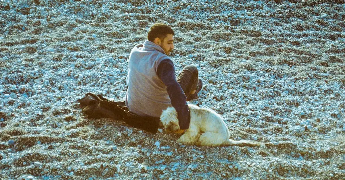 Hund mensch fotografie