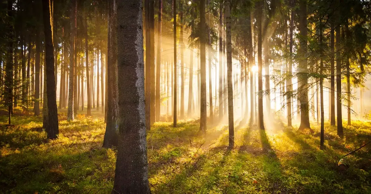 Wild und wunderbar fotografie