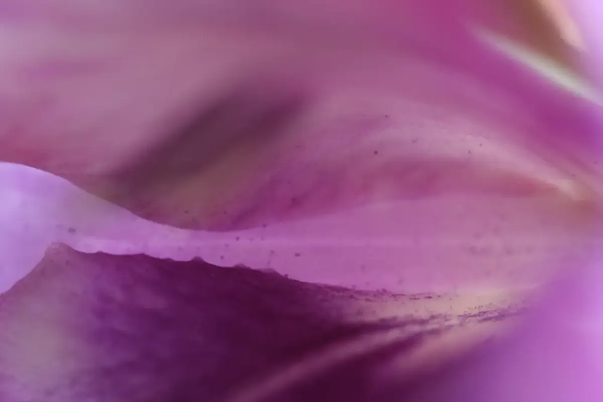 In diesem licht fotografie