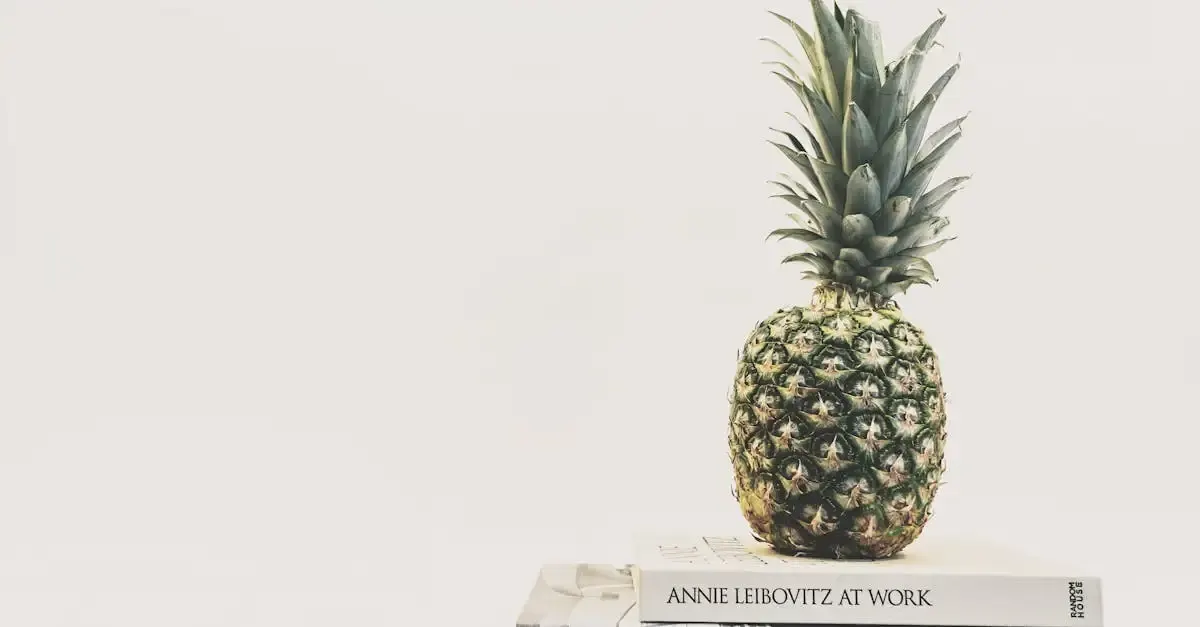 Fotografie annie leibovitz