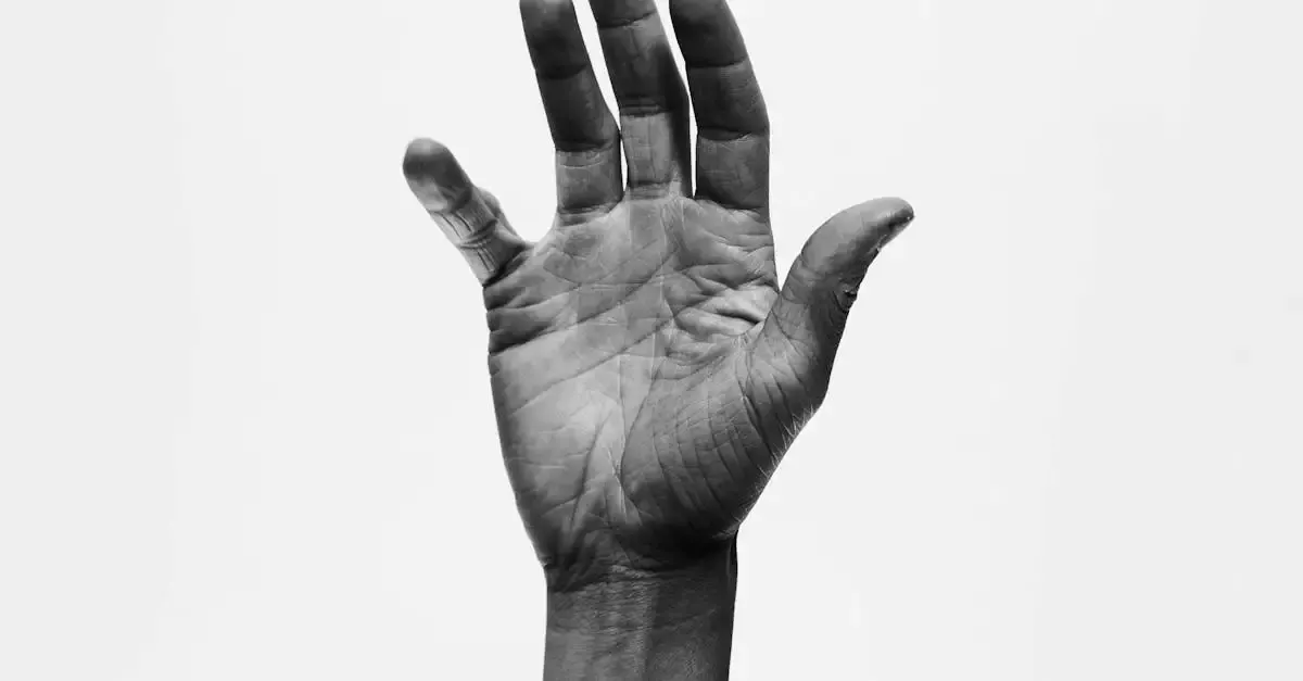 Laszlo moholy nagy fotografie