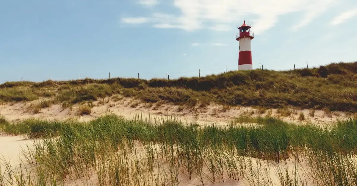Nordsee fotografie