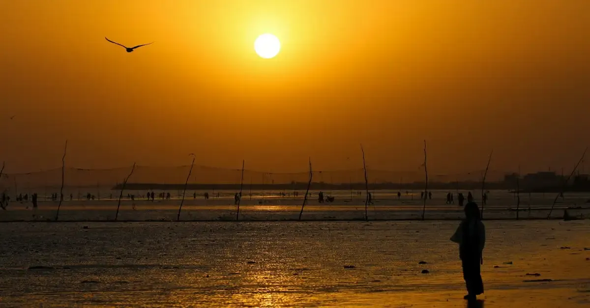 Fotografie sonnenuntergang