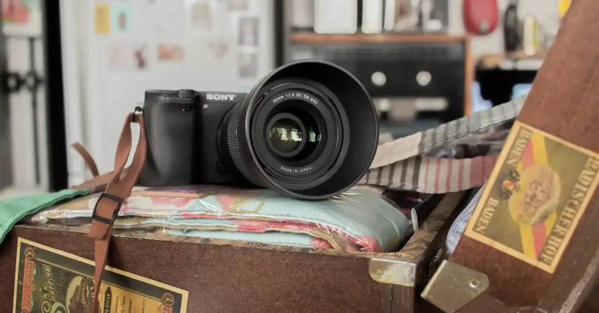 Sony zv e10 fotografie
