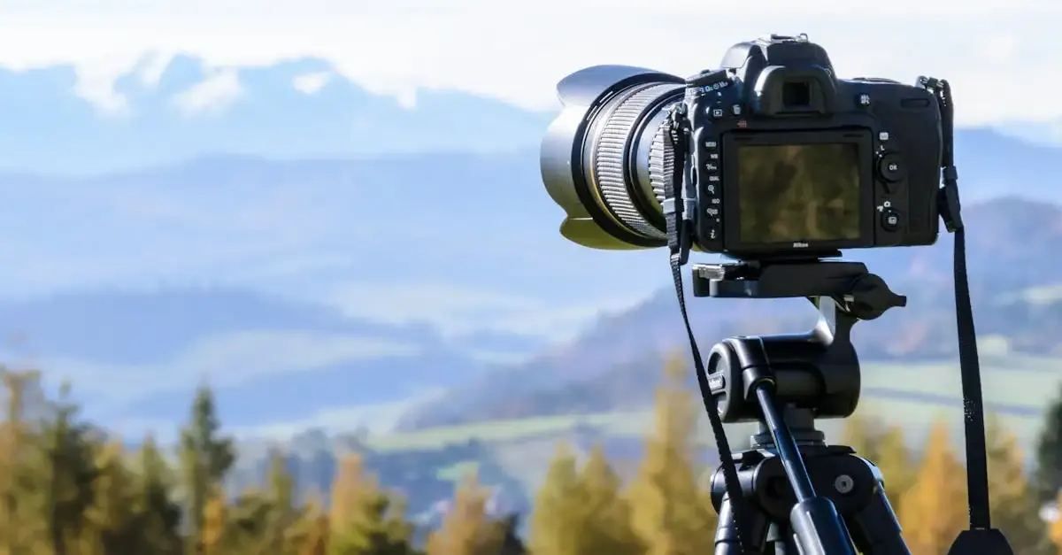 Stativ für Wildlife Fotografie: Tipps und Kaufberatung