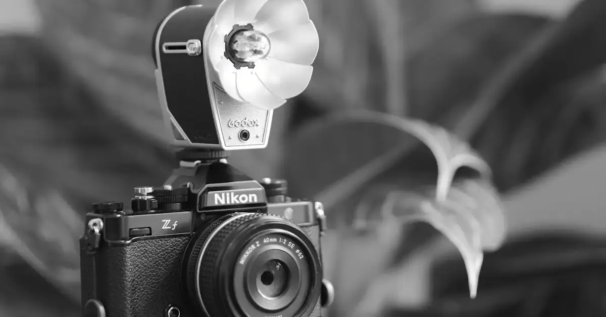 Top fotografie rau