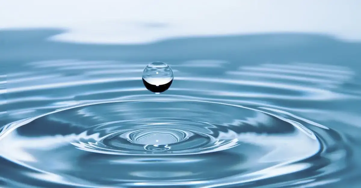 Wassertropfen fotografie