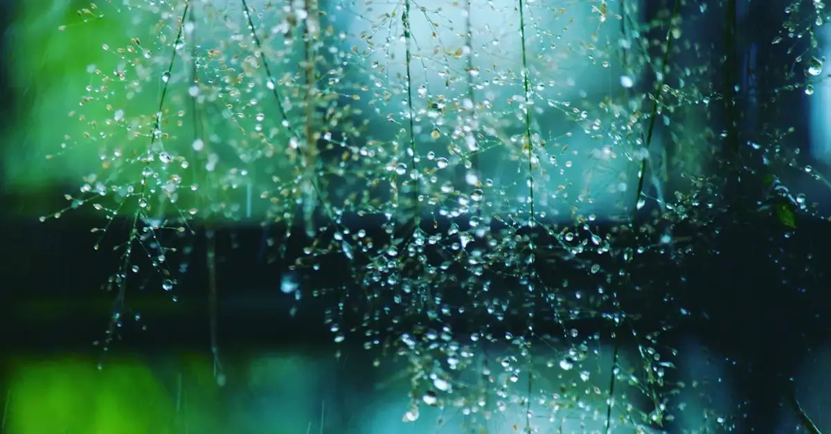 Fotografie wassertropfen