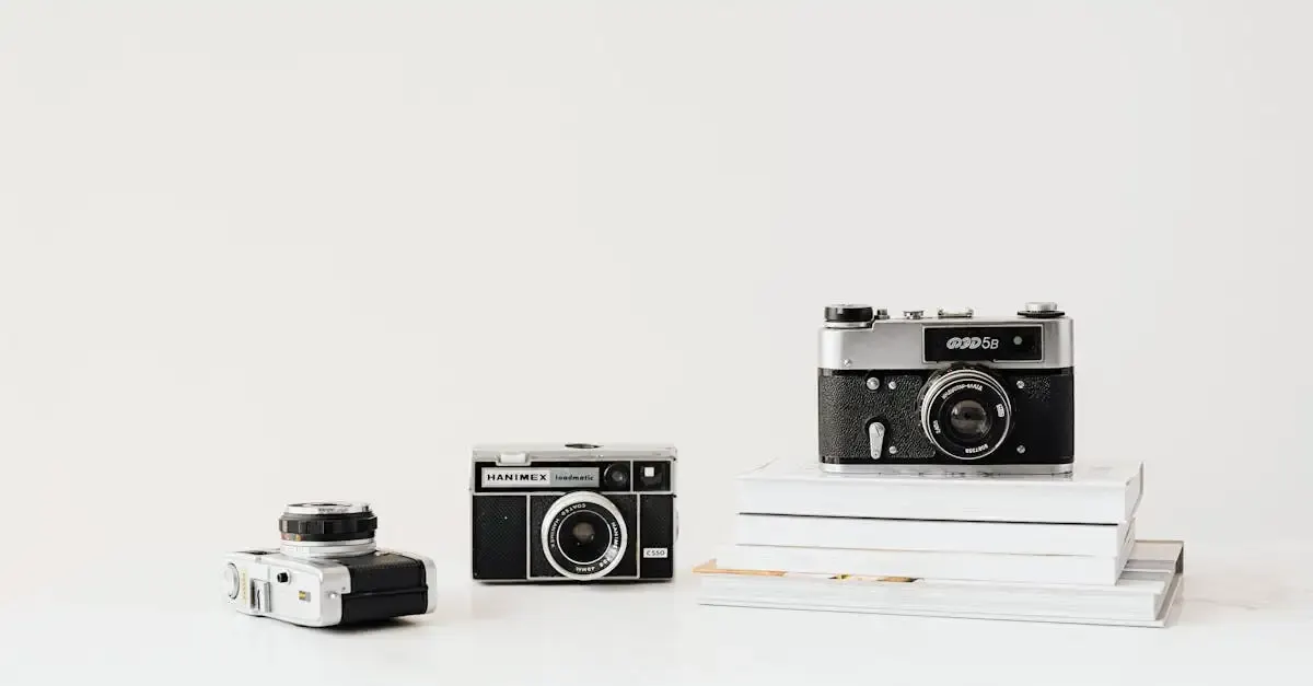 Fotografie mit weißem Hintergrund: Tipps und Techniken